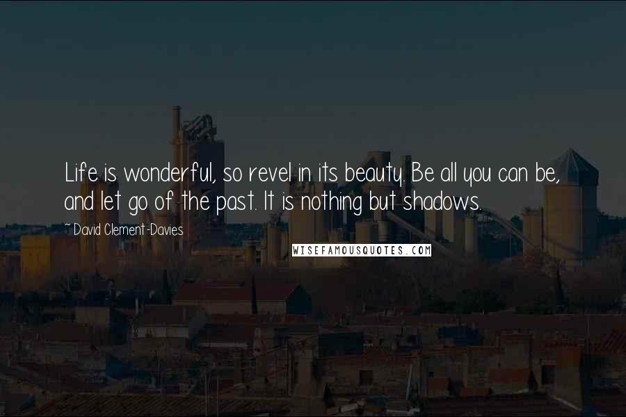 David Clement-Davies Quotes: Life is wonderful, so revel in its beauty. Be all you can be, and let go of the past. It is nothing but shadows.