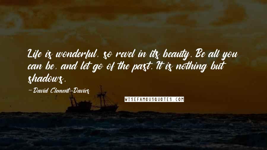 David Clement-Davies Quotes: Life is wonderful, so revel in its beauty. Be all you can be, and let go of the past. It is nothing but shadows.