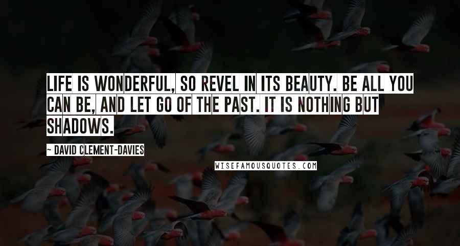 David Clement-Davies Quotes: Life is wonderful, so revel in its beauty. Be all you can be, and let go of the past. It is nothing but shadows.