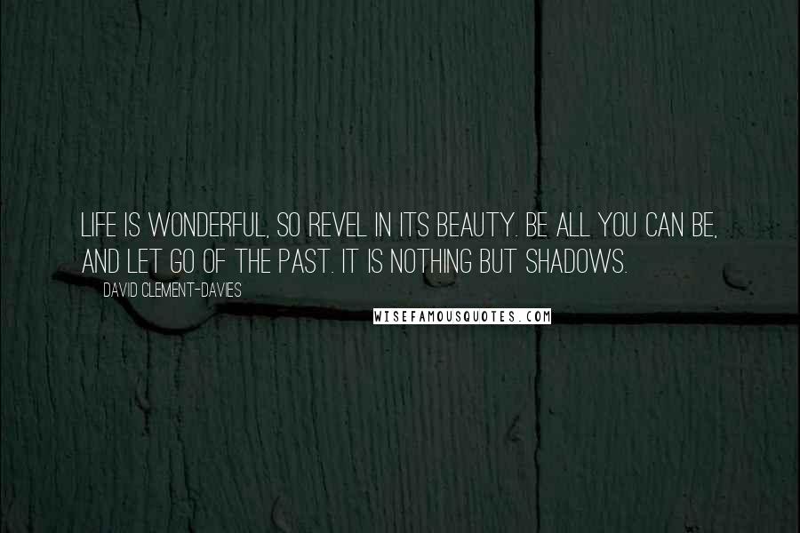 David Clement-Davies Quotes: Life is wonderful, so revel in its beauty. Be all you can be, and let go of the past. It is nothing but shadows.