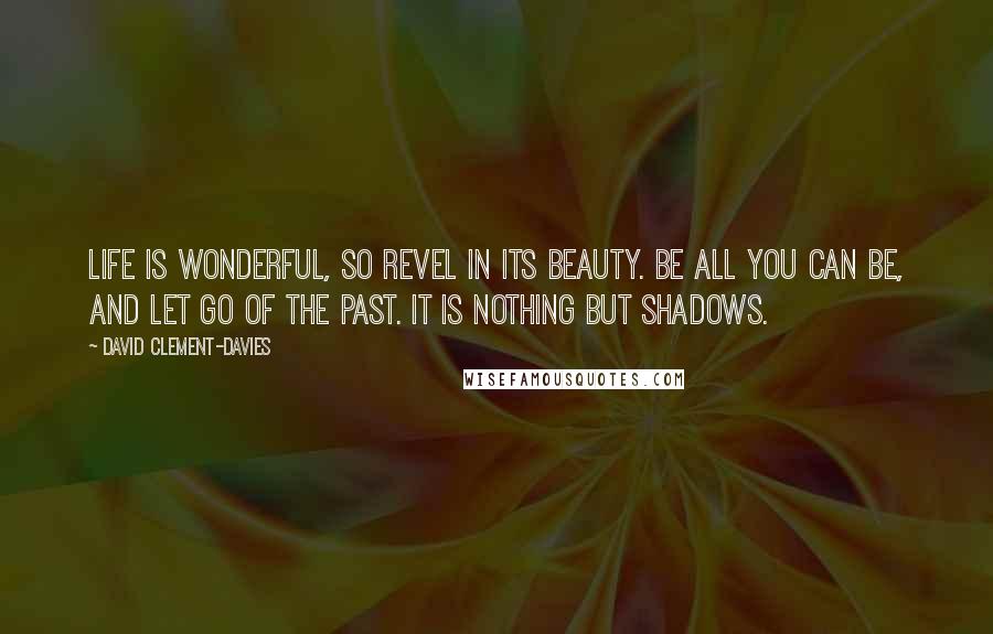 David Clement-Davies Quotes: Life is wonderful, so revel in its beauty. Be all you can be, and let go of the past. It is nothing but shadows.