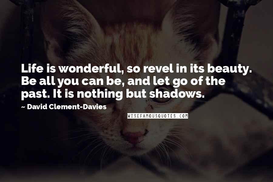 David Clement-Davies Quotes: Life is wonderful, so revel in its beauty. Be all you can be, and let go of the past. It is nothing but shadows.