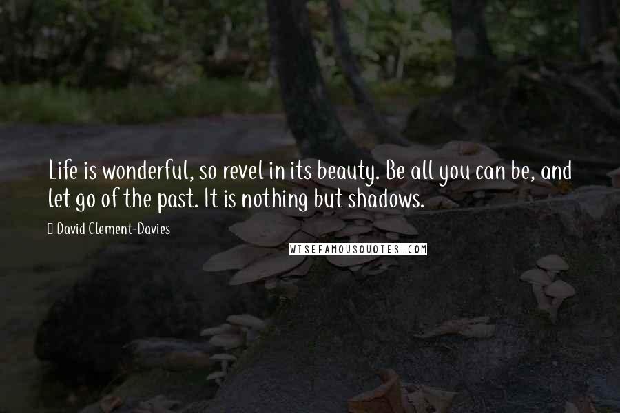 David Clement-Davies Quotes: Life is wonderful, so revel in its beauty. Be all you can be, and let go of the past. It is nothing but shadows.