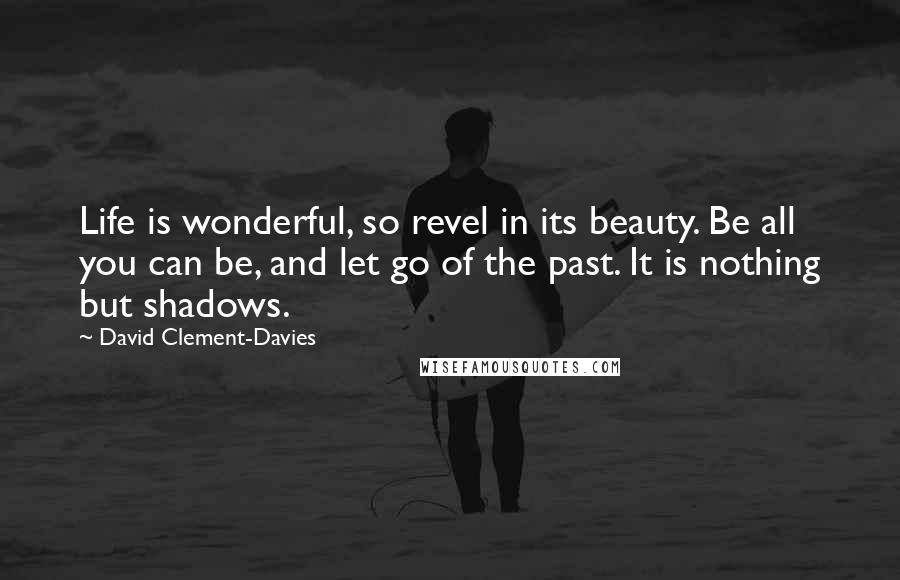 David Clement-Davies Quotes: Life is wonderful, so revel in its beauty. Be all you can be, and let go of the past. It is nothing but shadows.