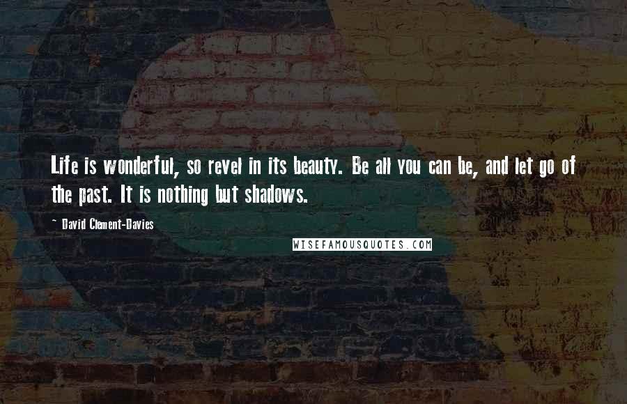 David Clement-Davies Quotes: Life is wonderful, so revel in its beauty. Be all you can be, and let go of the past. It is nothing but shadows.