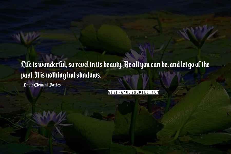 David Clement-Davies Quotes: Life is wonderful, so revel in its beauty. Be all you can be, and let go of the past. It is nothing but shadows.