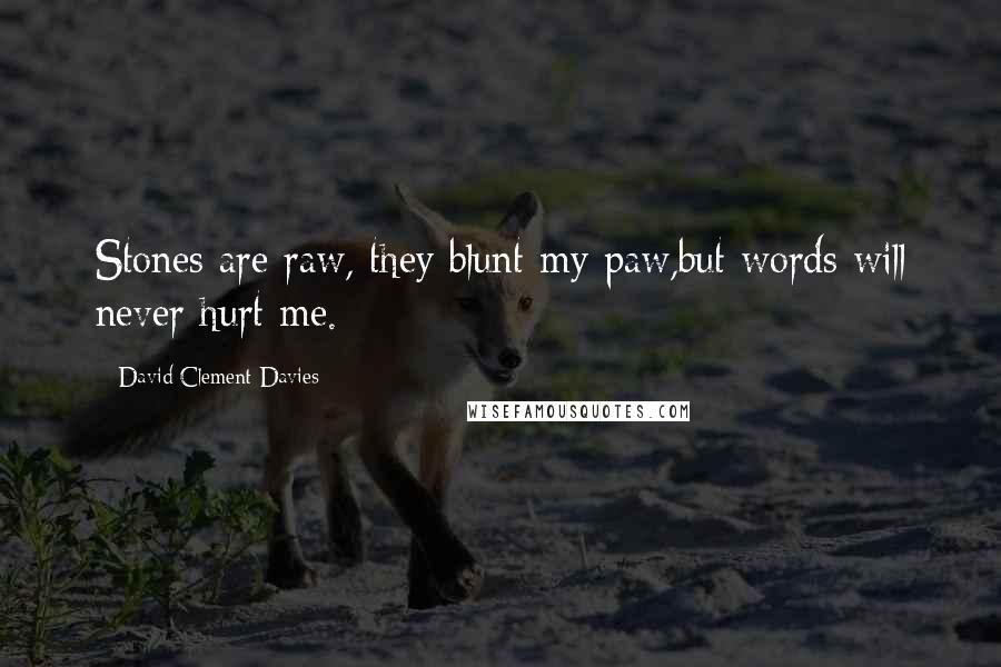 David Clement-Davies Quotes: Stones are raw, they blunt my paw,but words will never hurt me.