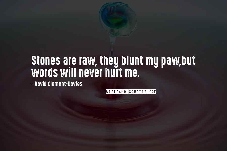 David Clement-Davies Quotes: Stones are raw, they blunt my paw,but words will never hurt me.