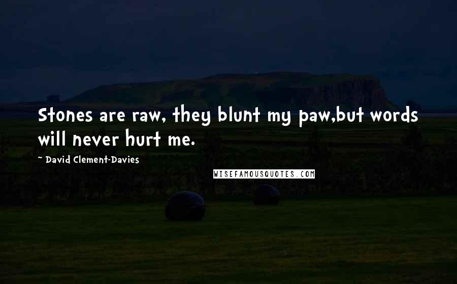 David Clement-Davies Quotes: Stones are raw, they blunt my paw,but words will never hurt me.