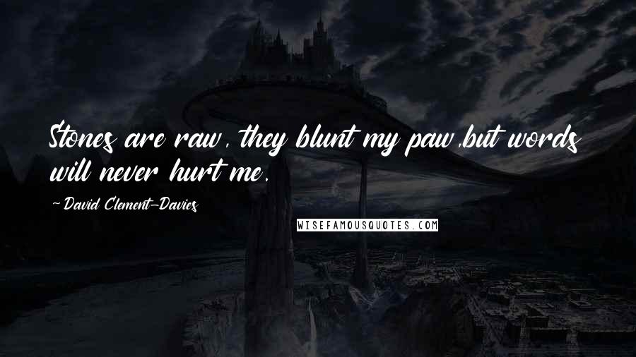 David Clement-Davies Quotes: Stones are raw, they blunt my paw,but words will never hurt me.