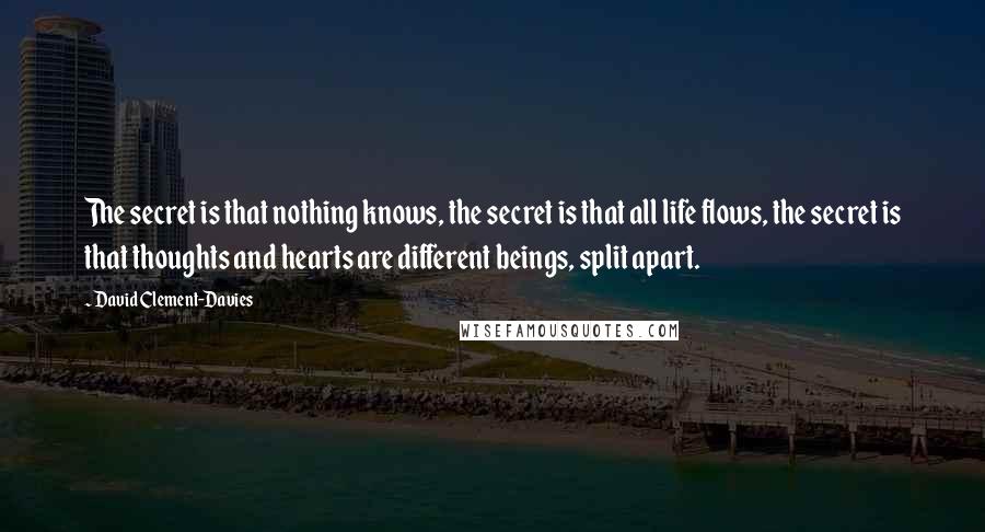 David Clement-Davies Quotes: The secret is that nothing knows, the secret is that all life flows, the secret is that thoughts and hearts are different beings, split apart.