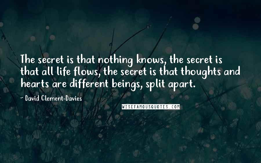 David Clement-Davies Quotes: The secret is that nothing knows, the secret is that all life flows, the secret is that thoughts and hearts are different beings, split apart.