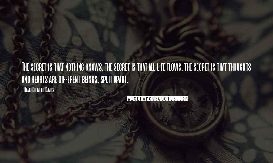 David Clement-Davies Quotes: The secret is that nothing knows, the secret is that all life flows, the secret is that thoughts and hearts are different beings, split apart.