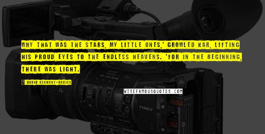 David Clement-Davies Quotes: Why that was the stars, my little ones,' growled Kar, lifting his proud eyes to the endless heavens. 'For in the beginning, there was light.