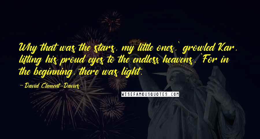 David Clement-Davies Quotes: Why that was the stars, my little ones,' growled Kar, lifting his proud eyes to the endless heavens. 'For in the beginning, there was light.