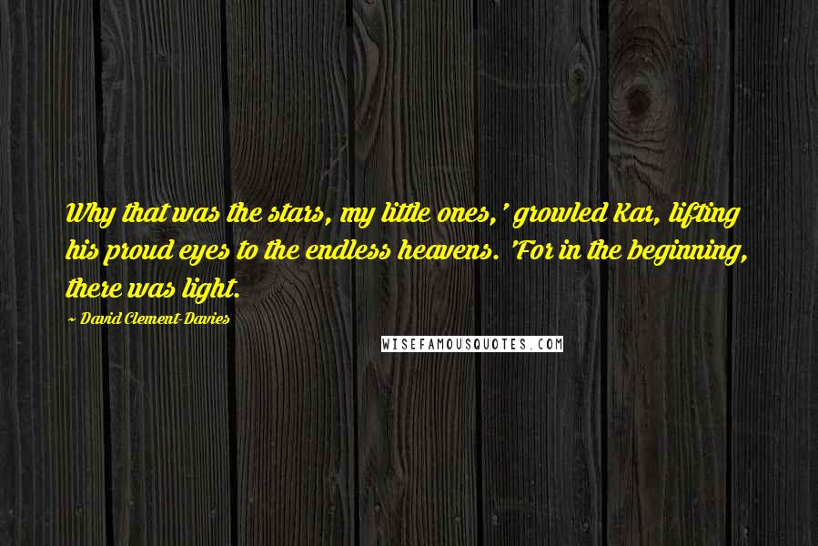 David Clement-Davies Quotes: Why that was the stars, my little ones,' growled Kar, lifting his proud eyes to the endless heavens. 'For in the beginning, there was light.