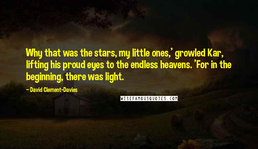 David Clement-Davies Quotes: Why that was the stars, my little ones,' growled Kar, lifting his proud eyes to the endless heavens. 'For in the beginning, there was light.