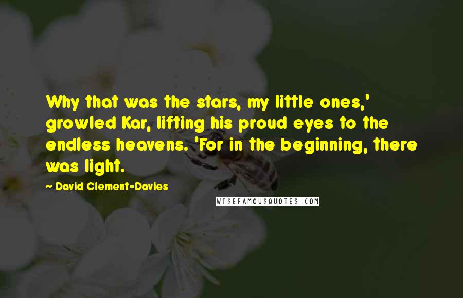 David Clement-Davies Quotes: Why that was the stars, my little ones,' growled Kar, lifting his proud eyes to the endless heavens. 'For in the beginning, there was light.