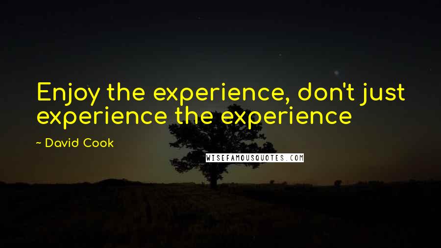 David Cook Quotes: Enjoy the experience, don't just experience the experience