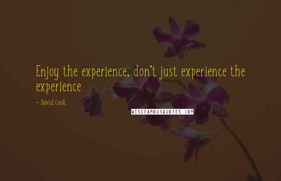 David Cook Quotes: Enjoy the experience, don't just experience the experience