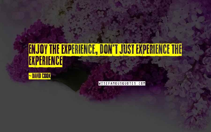 David Cook Quotes: Enjoy the experience, don't just experience the experience