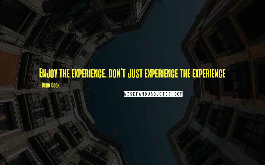 David Cook Quotes: Enjoy the experience, don't just experience the experience