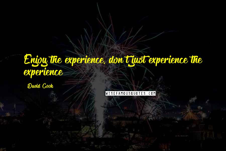 David Cook Quotes: Enjoy the experience, don't just experience the experience