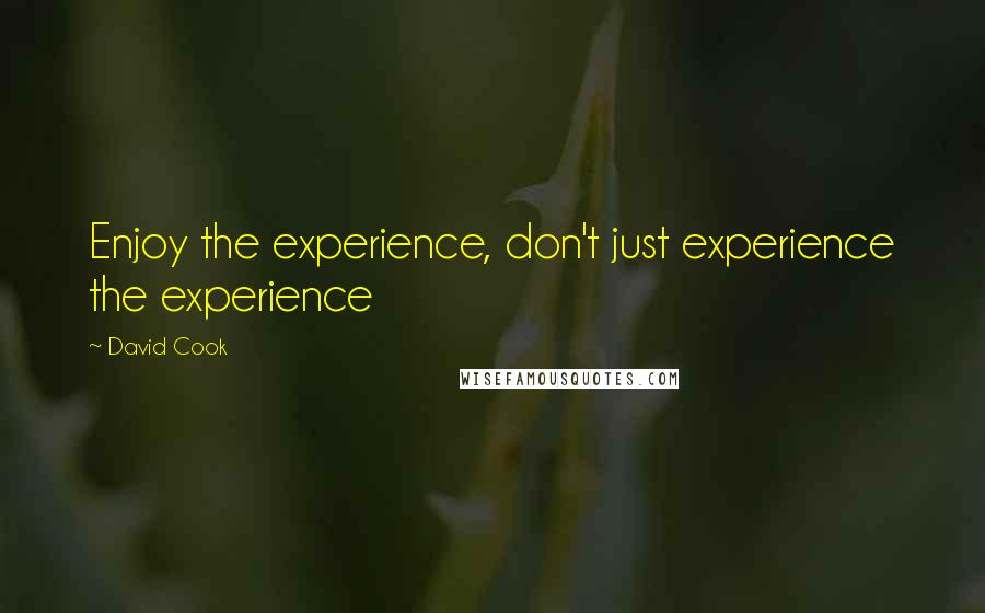 David Cook Quotes: Enjoy the experience, don't just experience the experience
