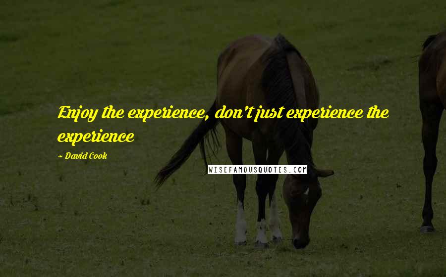 David Cook Quotes: Enjoy the experience, don't just experience the experience