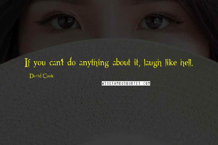 David Cook Quotes: If you can't do anything about it, laugh like hell.