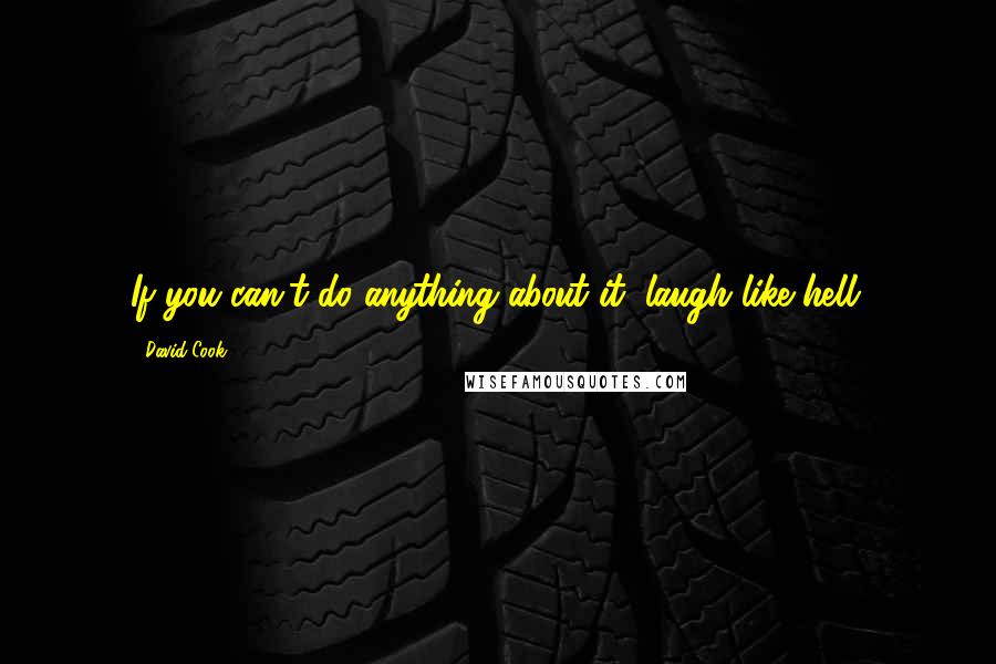 David Cook Quotes: If you can't do anything about it, laugh like hell.