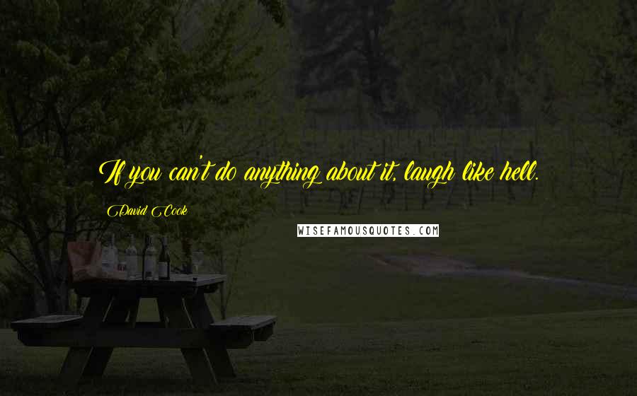 David Cook Quotes: If you can't do anything about it, laugh like hell.