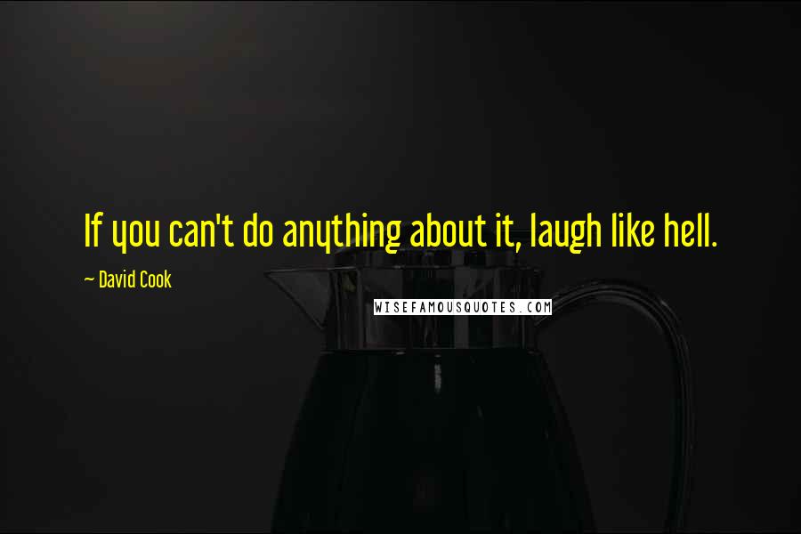 David Cook Quotes: If you can't do anything about it, laugh like hell.