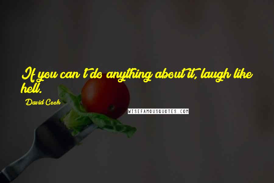 David Cook Quotes: If you can't do anything about it, laugh like hell.