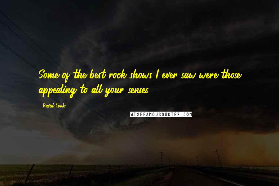 David Cook Quotes: Some of the best rock shows I ever saw were those appealing to all your senses.