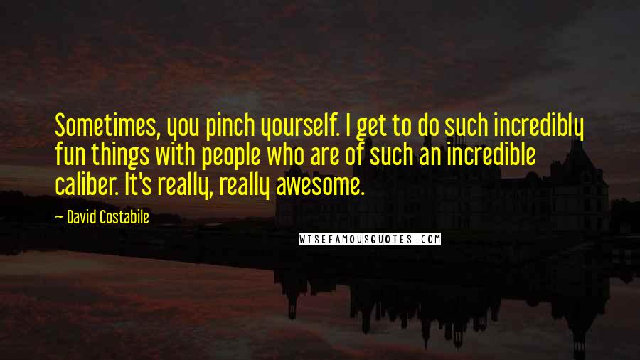 David Costabile Quotes: Sometimes, you pinch yourself. I get to do such incredibly fun things with people who are of such an incredible caliber. It's really, really awesome.