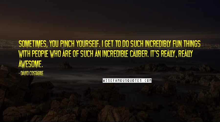 David Costabile Quotes: Sometimes, you pinch yourself. I get to do such incredibly fun things with people who are of such an incredible caliber. It's really, really awesome.