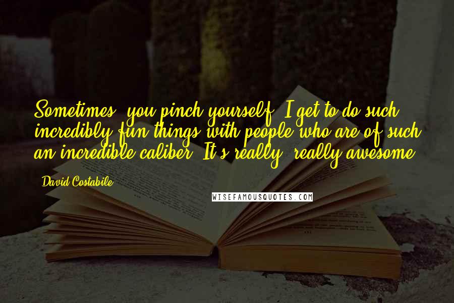 David Costabile Quotes: Sometimes, you pinch yourself. I get to do such incredibly fun things with people who are of such an incredible caliber. It's really, really awesome.