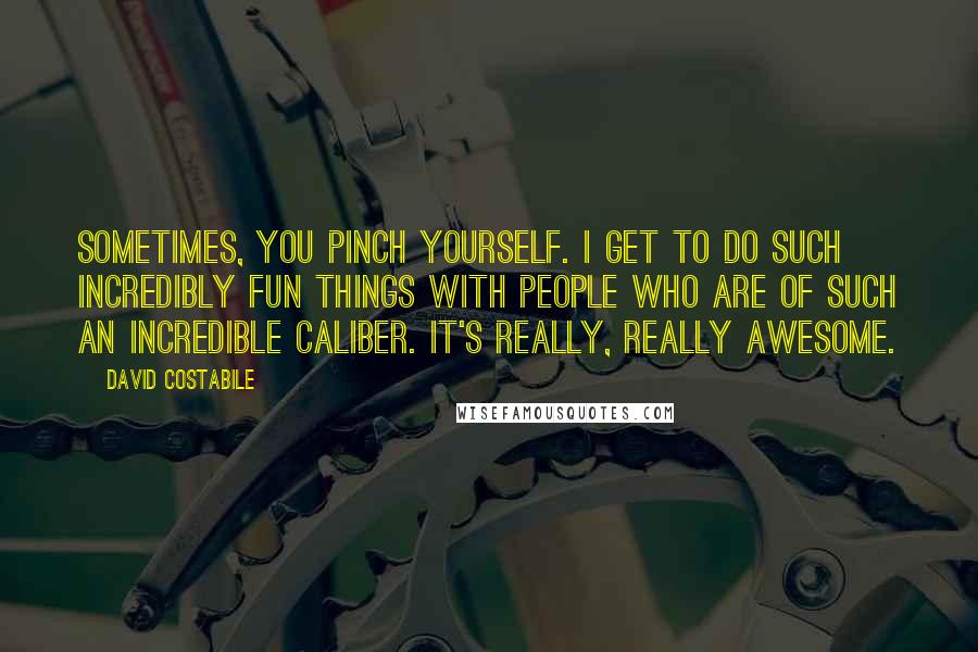 David Costabile Quotes: Sometimes, you pinch yourself. I get to do such incredibly fun things with people who are of such an incredible caliber. It's really, really awesome.