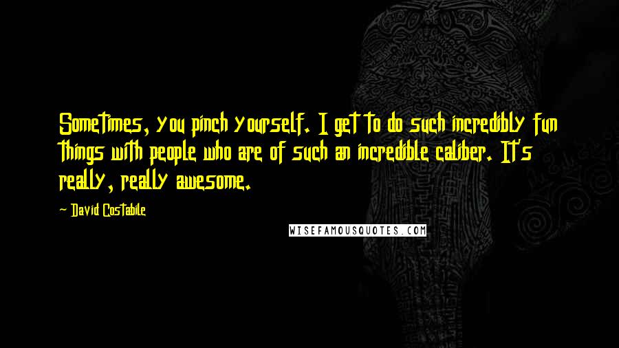 David Costabile Quotes: Sometimes, you pinch yourself. I get to do such incredibly fun things with people who are of such an incredible caliber. It's really, really awesome.