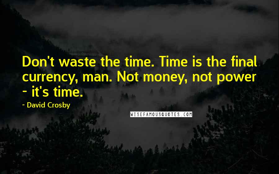 David Crosby Quotes: Don't waste the time. Time is the final currency, man. Not money, not power - it's time.