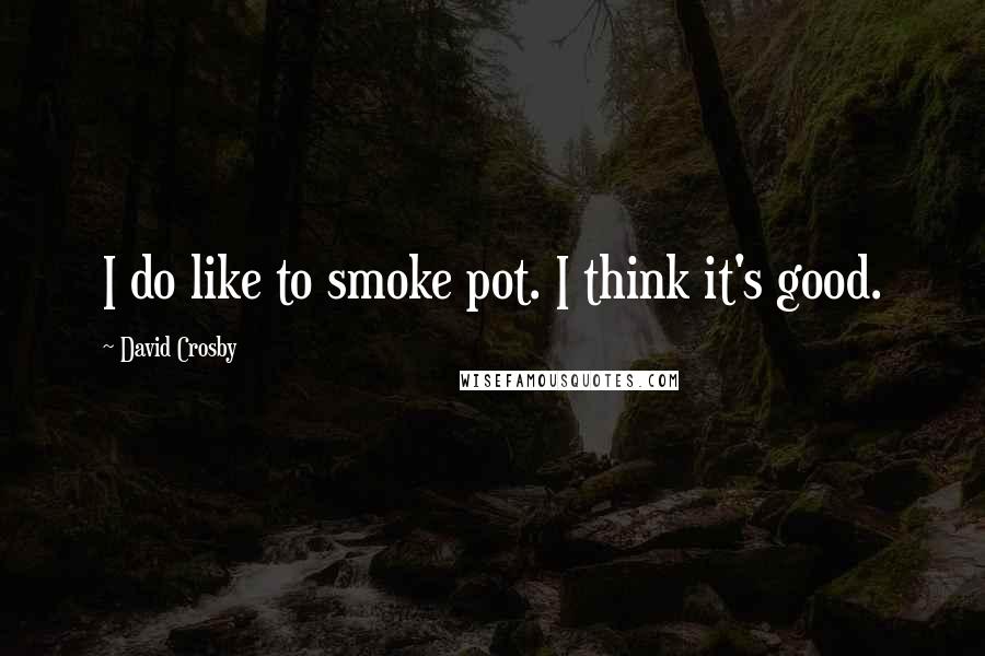 David Crosby Quotes: I do like to smoke pot. I think it's good.