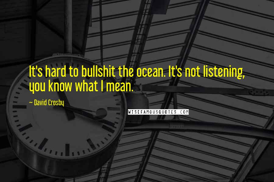 David Crosby Quotes: It's hard to bullshit the ocean. It's not listening, you know what I mean.