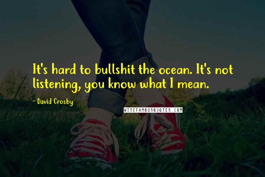 David Crosby Quotes: It's hard to bullshit the ocean. It's not listening, you know what I mean.