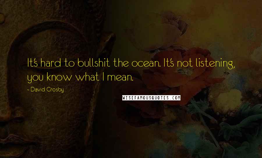 David Crosby Quotes: It's hard to bullshit the ocean. It's not listening, you know what I mean.