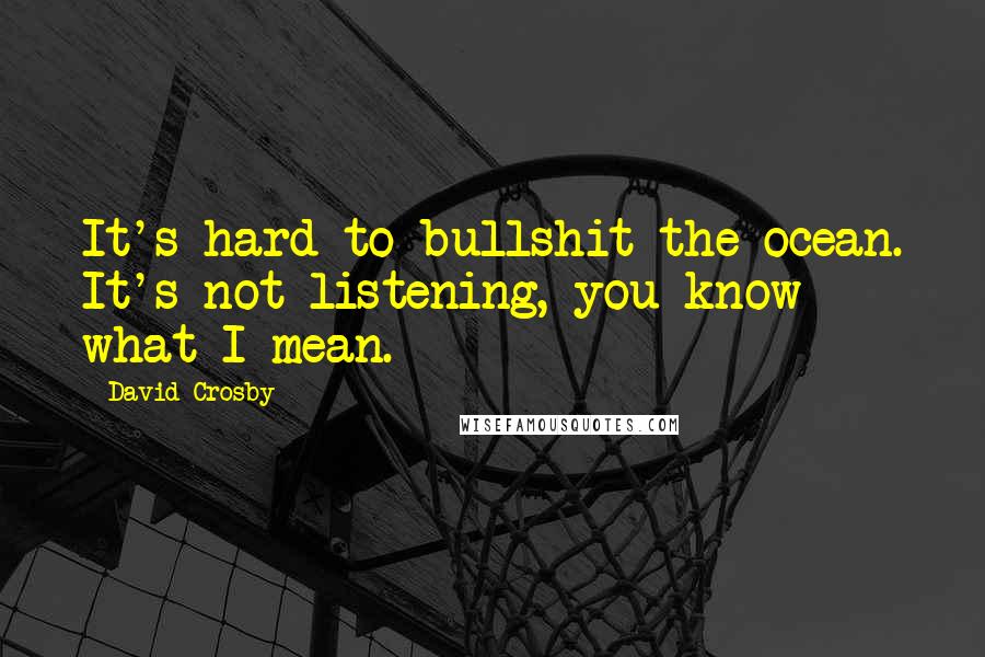 David Crosby Quotes: It's hard to bullshit the ocean. It's not listening, you know what I mean.