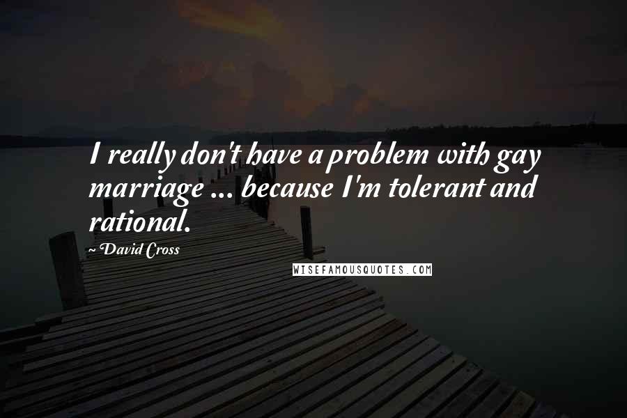 David Cross Quotes: I really don't have a problem with gay marriage ... because I'm tolerant and rational.