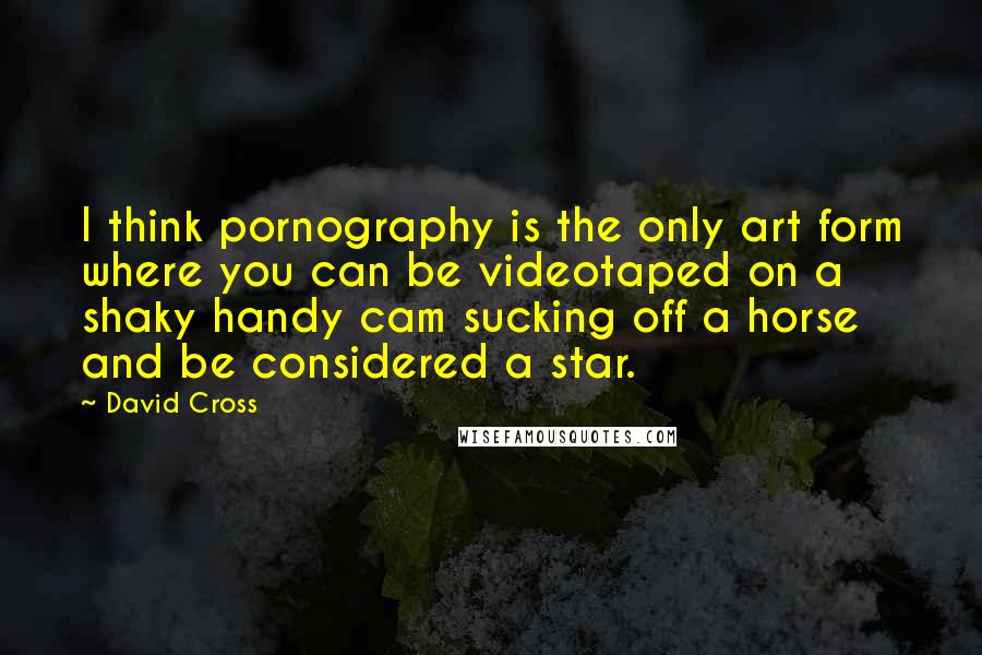 David Cross Quotes: I think pornography is the only art form where you can be videotaped on a shaky handy cam sucking off a horse and be considered a star.