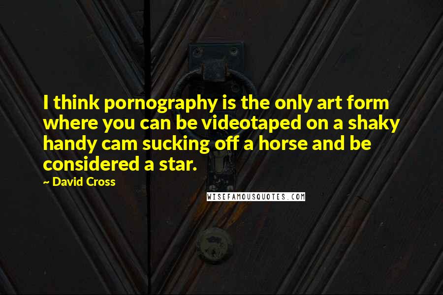 David Cross Quotes: I think pornography is the only art form where you can be videotaped on a shaky handy cam sucking off a horse and be considered a star.