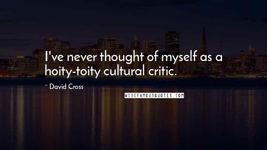 David Cross Quotes: I've never thought of myself as a hoity-toity cultural critic.